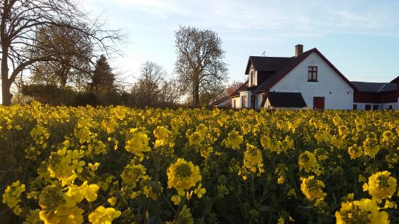 Læs mere om Reservation